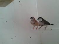 /album/galeria-de-fotos/a2013-02-05-17-09-39-jpg/